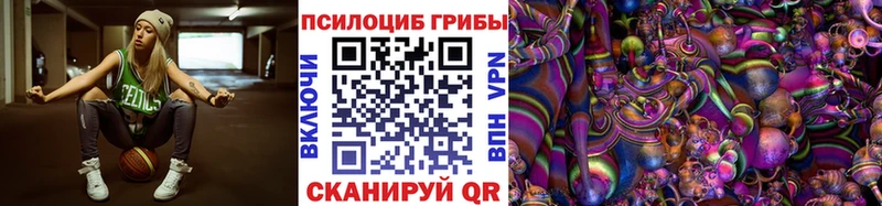 Купить  Тула  Галлюциногенные грибы Psilocybe 